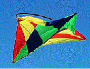 NetObjects Fusion Paper Airplane